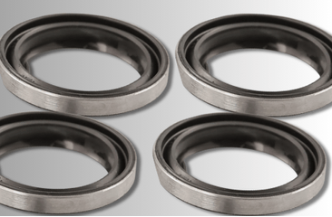 Four metal seals on a gray background with BSS logo.
