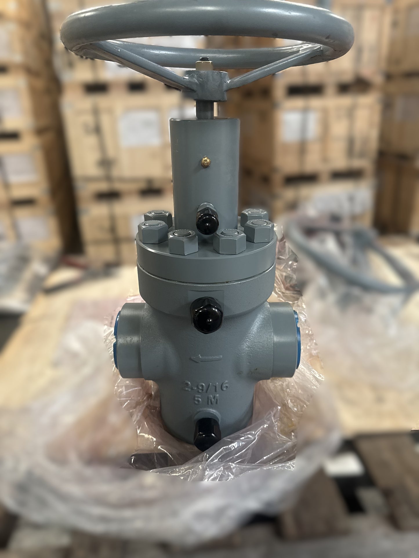 Gate Valve, Expanding Gate, 2-9/16" 5M 2-7/8" 8RD EUE, HW, DD, LU, PSL-2,