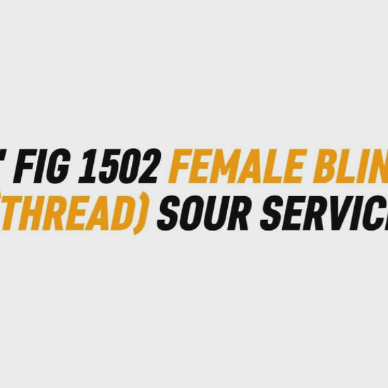 2" FIG 1502 FEMALE BLIND 
(THREAD) SOUR SERVICE