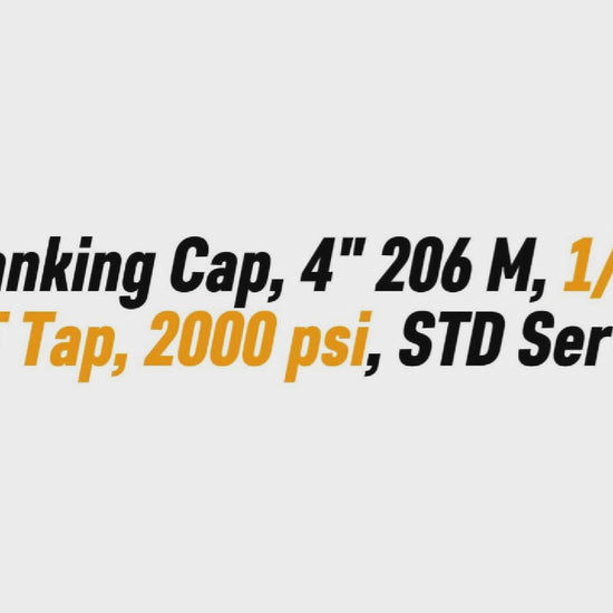 Blanking Cap, 4" 206 M, 1/2" NPT Tap, 2000 psi, STD Service