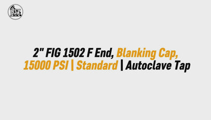 2 FIG 1502 F End, Blanking Cap, 15000 PSI Stan

