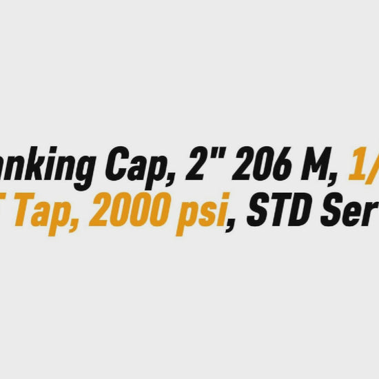 Blanking Cap, 2" 206 M, 1/2" NPT Tap, 2000 psi, STD Service