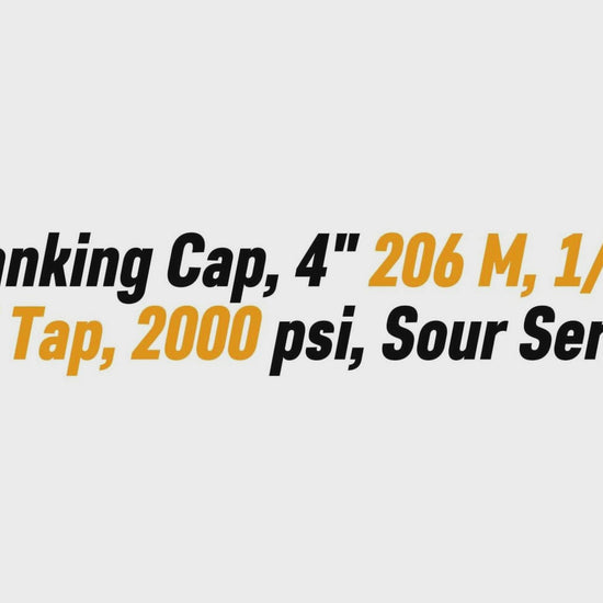 Blanking Cap, 4" 206 M, 1/2" 
NPT Tap, 2000 psi, Sour Service