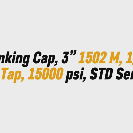 Blanking Cap, 3” 1502 M, 1/2" 
NPT Tap, 15000 psi, STD Service