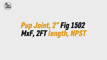 Pup Joint, 2" Fig 1502 
MxF, 2FT length, NPST