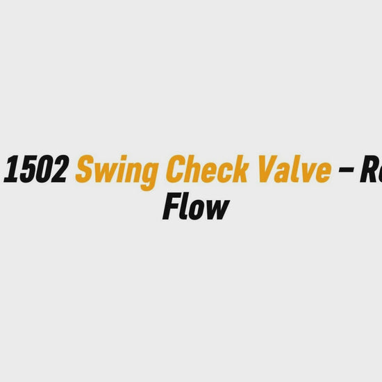 2" FIG 1502 Swing Check Valve – Reverse Flow