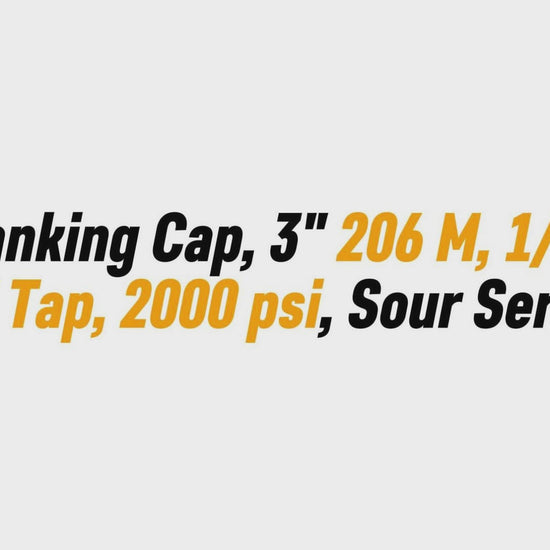 Blanking Cap, 3" 206 M, 1/2" 
NPT Tap, 2000