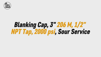 Blanking Cap, 3" 206 M, 1/2" 
NPT Tap, 2000
