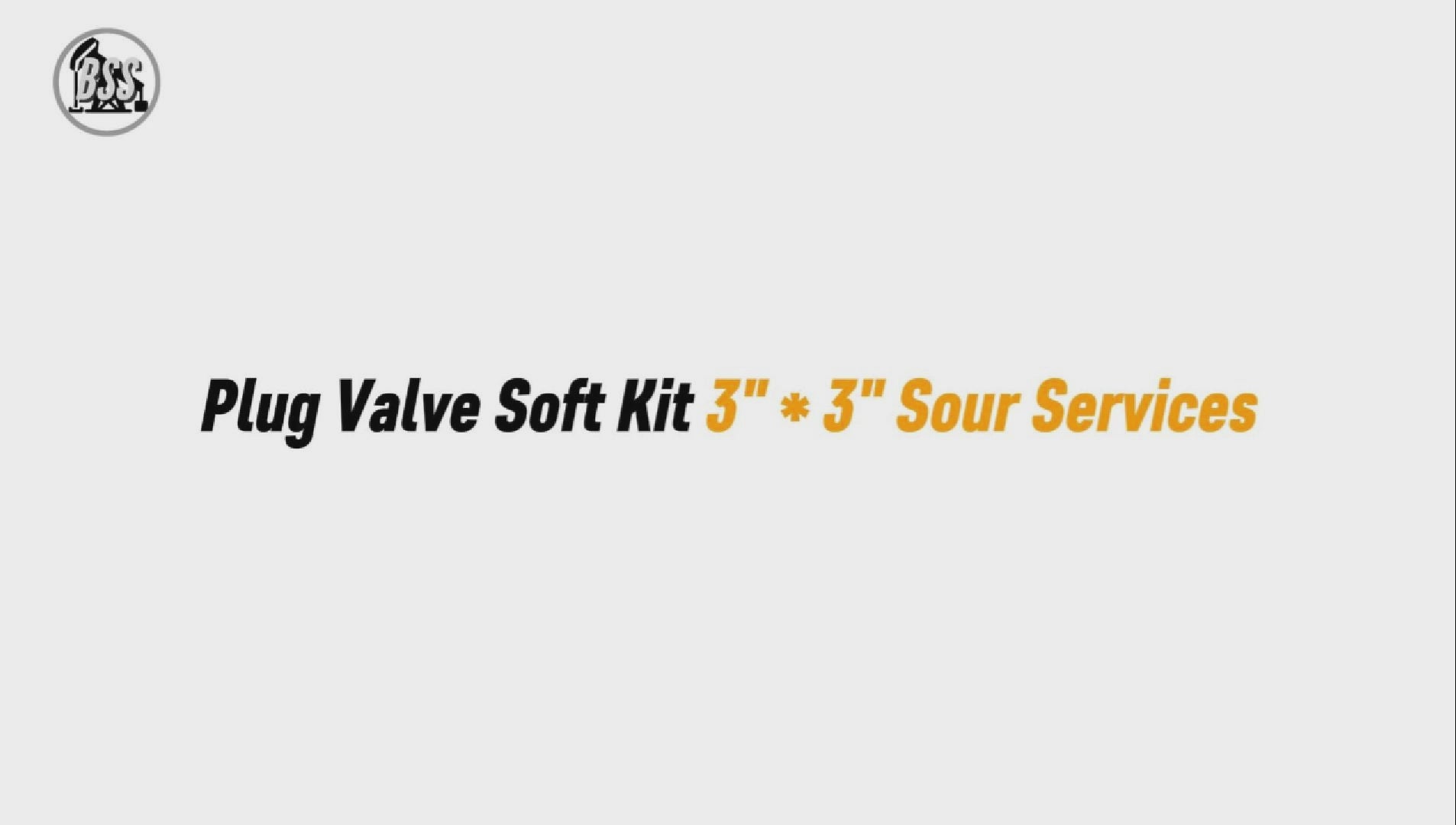 Plug Valve Soft Kit 3" * 3" Sour Services