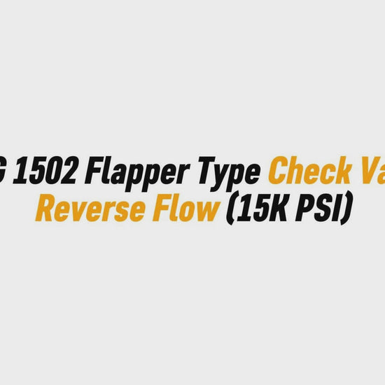 2" FIG 1502 Flapper Type Check Valve – Reverse Flow (15K PSI)