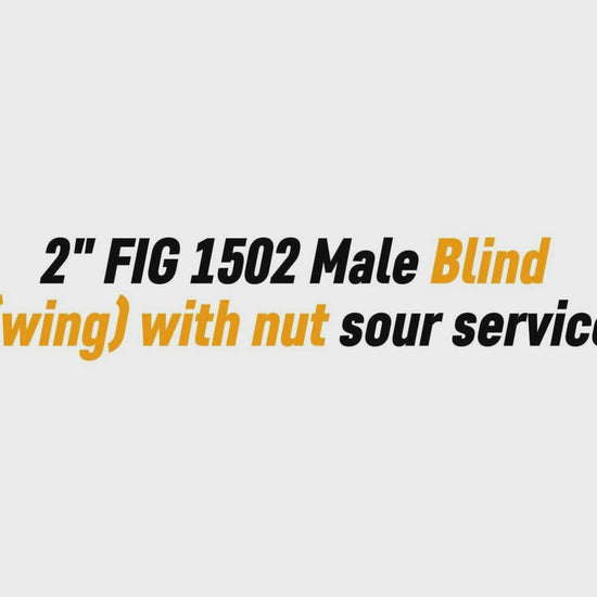 2" FIG 1502 Male Blind 
(wing) with nut sour service