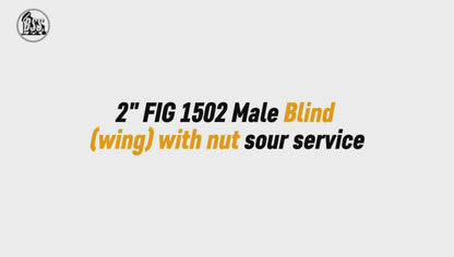 2" FIG 1502 Male Blind 
(wing) with nut sour service