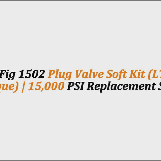 2" x 1" Fig 1502 Plug Valve Soft Kit (LT - Low Torque) | 15,000 PSI Replacement Seals