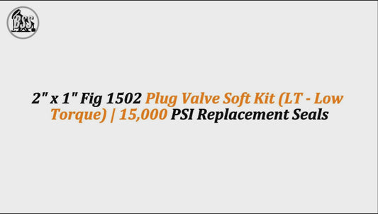 2" x 1" Fig 1502 Plug Valve Soft Kit (LT - Low Torque) | 15,000 PSI Replacement Seals