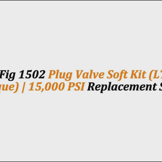 2" x 2" Fig 1502 Plug Valve Soft Kit (LT - Low Torque) | 15,000 PSI Replacement Seals