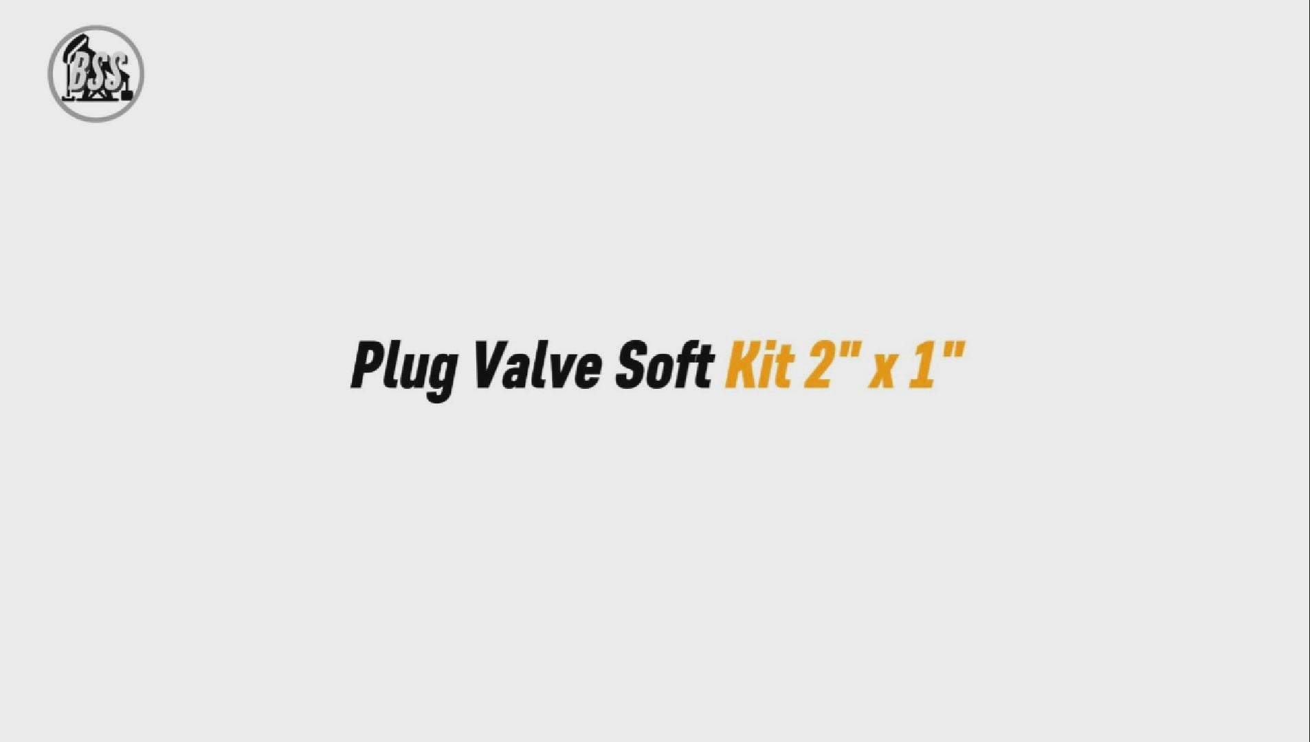 Plug Valve Soft Kit 2" * 1"