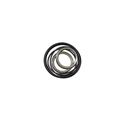 Plug Valve Soft Kit 3" * 3"